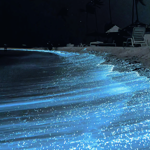 刘梓晨和女友72秒视频在线观看
