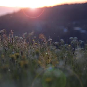 刘梓晨和女友72秒视频在线观看
